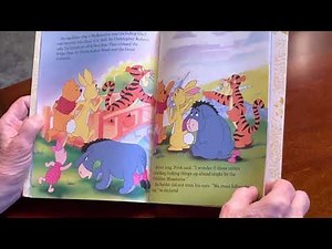 POOH’ S GRAND ADVENTURE