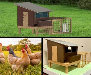 3D Printing a Backyard Chicken Coop: an Alternative to Factory Farming