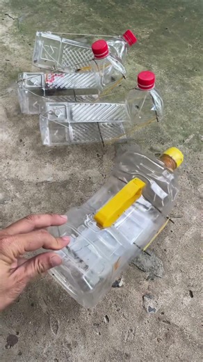 Homemade mouse trap using plastic bottles