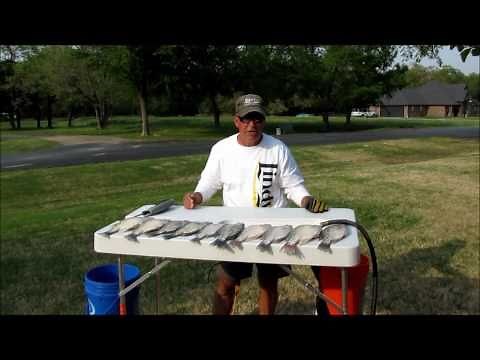 How to Clean Crappie
