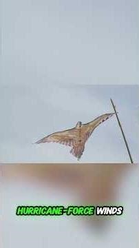 Birds of the Future — When AI Recreates Evolution