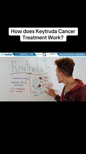 Understanding Keytruda Cancer Treatment Mechanism