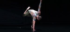 Understanding the 6 Components of Animal Flow