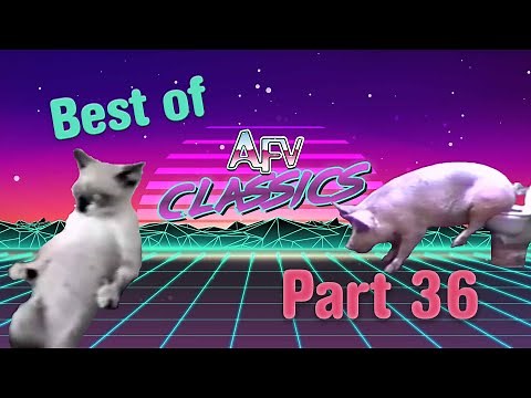 Best of AFV! | Part 36 | AFV Classics