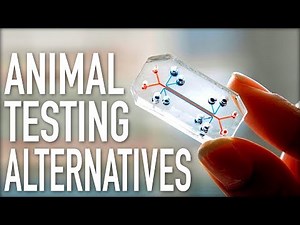 Are There Alternatives to Animal Testing?