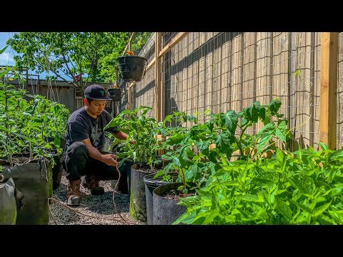 Drip Irrigation Installation to save time and water