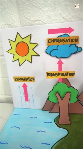 Water Cycle 3D Model | Easy School Project | DIY Evaporation Condensation Precipitation Craft