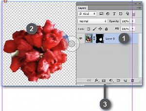 What are Adobe Photoshop Layer and Vector Masks?