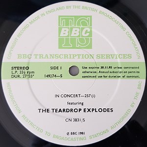 The Teardrop Explodes - In Concert-257