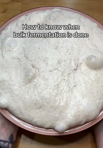Understanding Bulk Fermentation in Sourdough Bread
