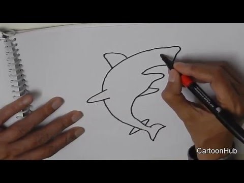 How to draw a Shark- in easy steps for beginners