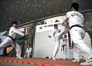 Taekwondo Form 1 (Taegeuk Il Jang) with Instructions & Videos - Black Belt Wiki