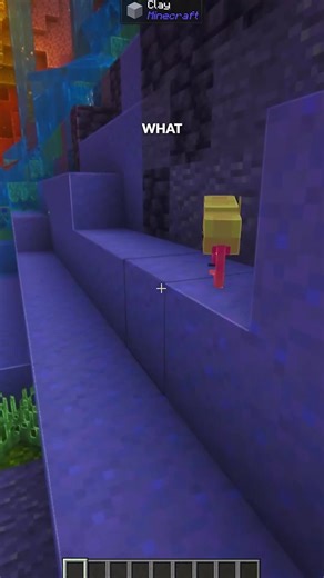 Introducing the Snoutters: A Cute Minecraft Mod