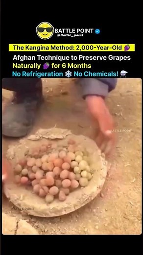 2,000-Year-Old Afghan Method to Preserve Grapes Naturally 🍇