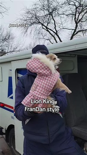 Remembering Postman Dan: A Year of Fun