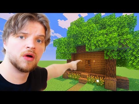 Why are there Exactly 238 Leaf Blocks on this Minecraft House?