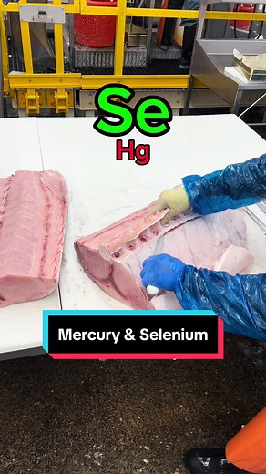 Mercury and Selenium: Reducing Methylmercury Toxicity in Seafood