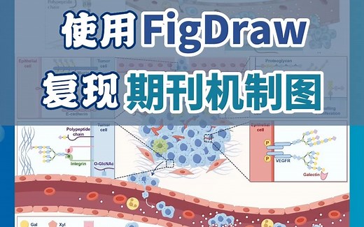 在线绘图平台FigDraw！复现CNS期刊机制图~科研绘图竟如此简单~