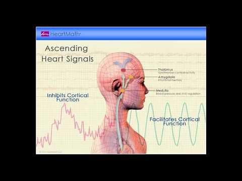 HeartMath Video - YouTube