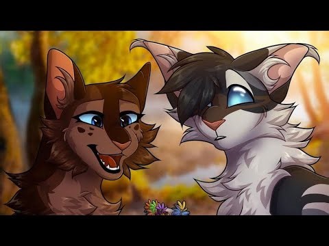 Top 15 Warrior Cats Couples That Would Of Been Good Mates