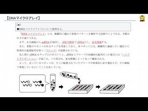 DNAマイクロアレイ 【高校生物】