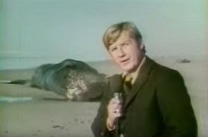 1970: Watch the video of the infamous ‘Oregon Exploding Whale’ incident on 50th anniversary