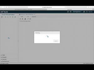 SAS Basics 4 PROC REPORT