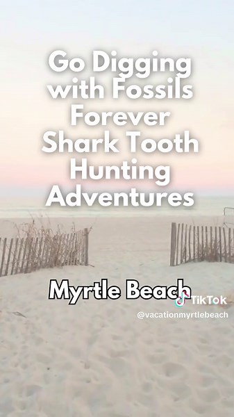Myrtle Beach Family Fun: Top Kid-Friendly Spots