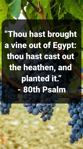 The #Connecticut Flag Explained | Flag Facts Check out the full video on our YouTube Channel! | FlagandBanner.com | Facebook