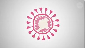 5.8K views · 149 reactions | Coronavirus variants: Where do they come from? How do we spot them? How fast is the virus mutating? What do variants mean for COVID vaccines, and future of the pandemic? | Nature | Facebook