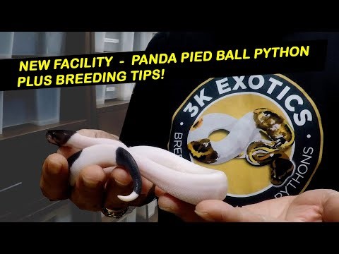 3K Exotics - New Facility