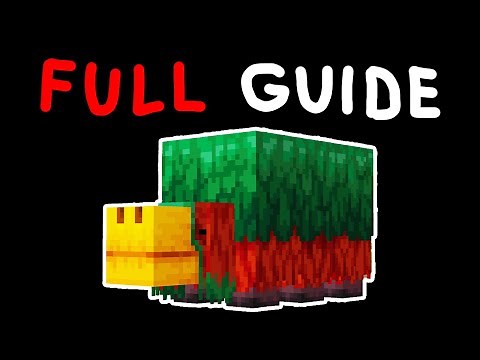 The Ultimate Sniffer Guide: Become a Pro!