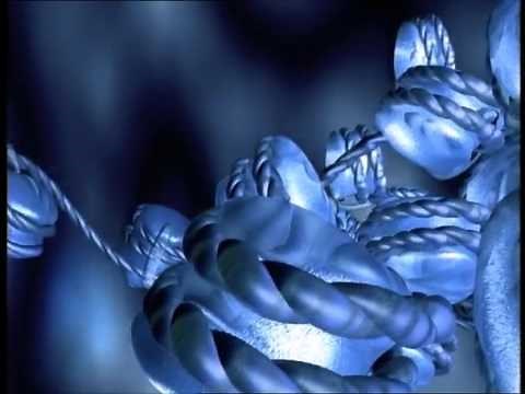 Du gène à la protéine