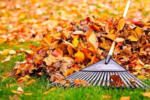 Prep Your Yard for Winter with This Fall Garden Checklist