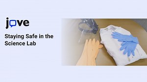 Staying Safe in the Science Lab: How to Follow Essential Safety Practices