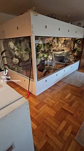 171K views · 2.4K reactions | #python #burmesepython #eggs #reptiles #enclosure #snake #giantsnake #reptilekeeper #reptilelover #viralreels #viral #fypシ゚ | Fabians Reptilienraum | Facebook