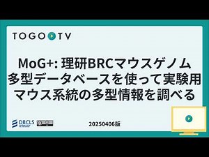 MoG+: 理研BRCマウスゲノム多型データベースを使って実験用マウス系統の多型情報を調べる