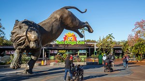 San Diego Zoo Guide: Hours, Prices, Current Rules, and What to See and Do