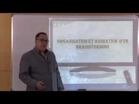 Techniques d'animation au sein du groupe : cas d'un brainstorming