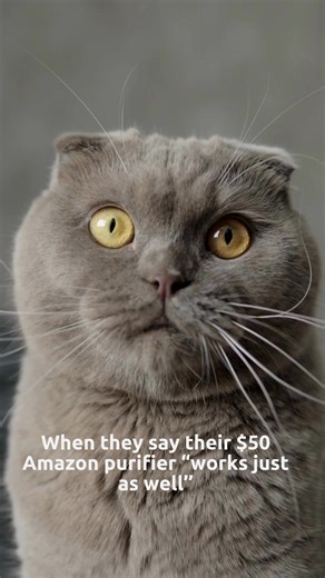 Oh really? Tell me more about that 3-day filter life.  | Rabbit Air | Facebook