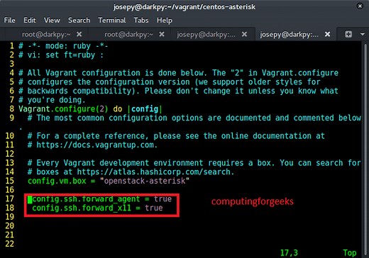 Enable and use SSH X11 Forwarding on Vagrant Instances | ComputingForGeeks