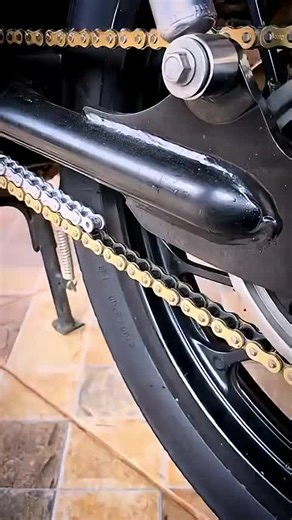 Discover the Magic of AI with Balli Bot Mogis