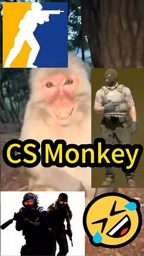 Funny CS2 Monkeys Video 🐒 😂