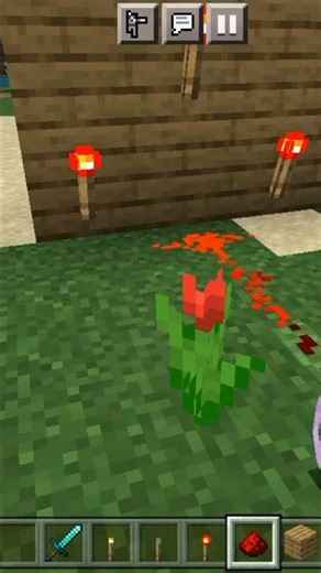 password door 🚪locker