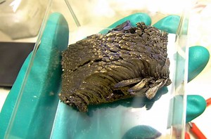 Définition | Europium : qu'est-ce que c'est ? | Futura sciences