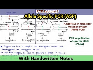 Allele specific PCR | Amplification refractory mutation system| PCR amplification of specific allele