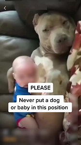 7.1M views · 28K reactions | The 3 biggest tips I could give any parent about dogs & babies… 1. SPACE 2. Learn to read dog body language 3. Plan & train like the worst case scenarios are going to happen | Dog Sense Training and Behaviour | Facebook