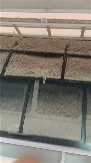 5 Ways to Clean a Dirty Air Filter