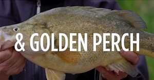 50 reactions · 5 comments | This Boxing Day we are bringing the movie to you! Total Native 2 can be viewed on any phone, ipad, Lap Top or smart TV in full cinematic quality. A few clicks on www.totalnative.com and it’s yours, all 85 minutes of it...grab a few mates and get comfy...you’re gonna love it! | Total Native Fishing | Facebook