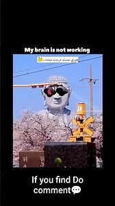 my brain is not working 🤣 #funnyvideo #funnymemes #globalmemes #meme #memevideo #nightmemes #comedy